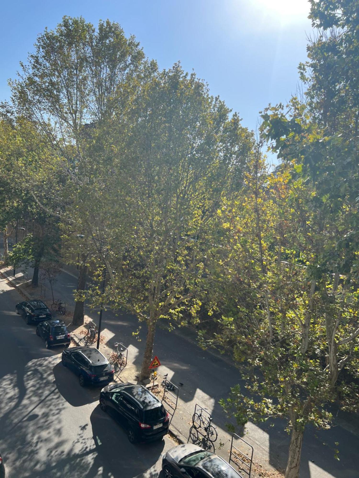 Apartment Santa Rosa 3 Bedrooms - Private Parking *